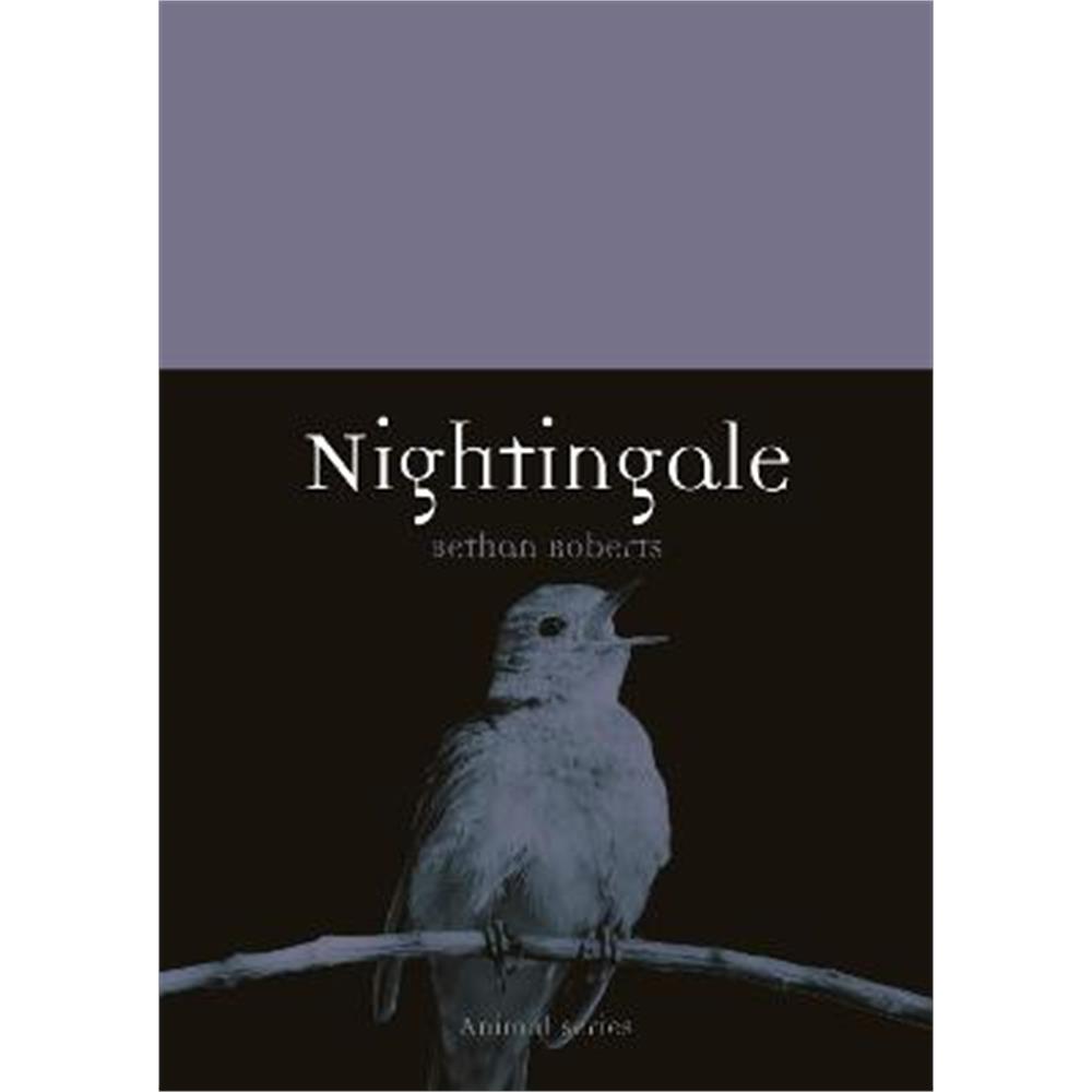 Nightingale (Paperback) - Bethan Roberts